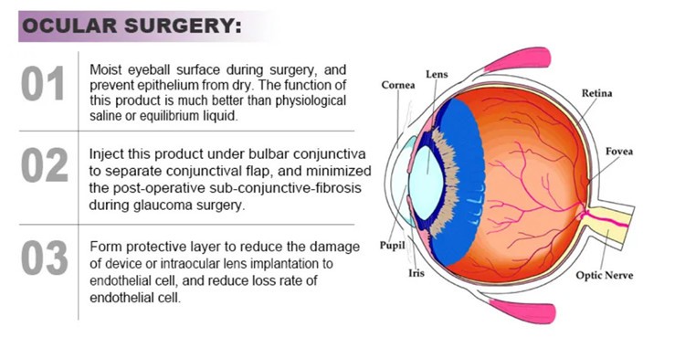 product-750-369 product-750-369
